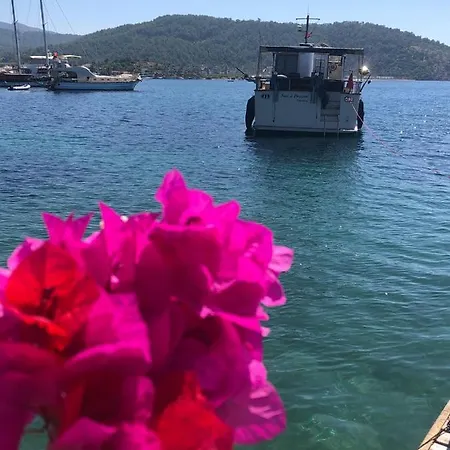 Not A Dream Bodrum